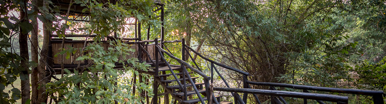 Luxury Treehouse in Bandhavgarh National Park